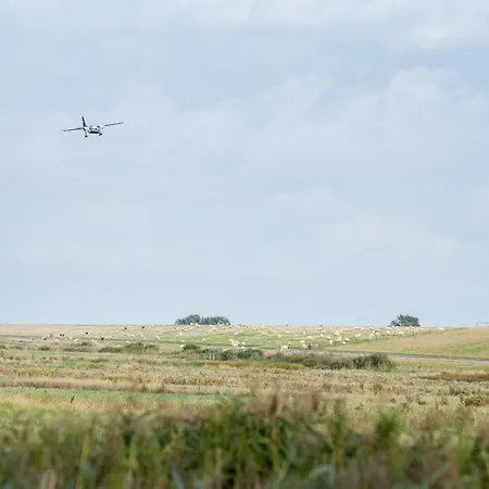 Sleep Space 21 - Tiny Village Harlesiel